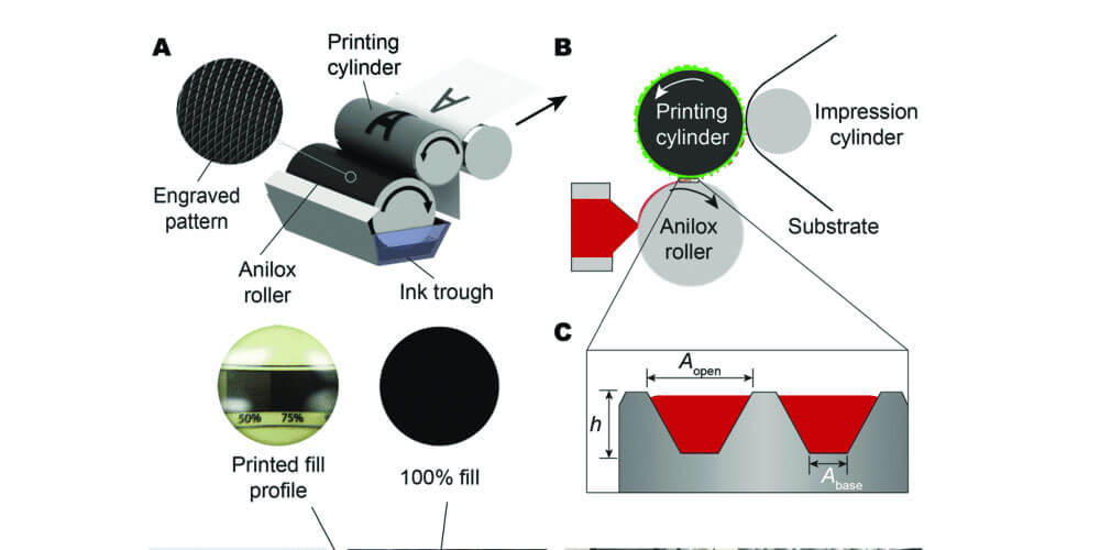 Understanding what Flexo Printing is